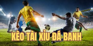 Kèo Tài Xỉu Đá Banh - Loại Hình Cá Cược Thịnh Hành Trên Sân Cỏ 6 kèo tài xỉu đá banh qq88